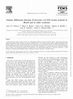 Research paper thumbnail of Genetic differences between Escherichia coli O26 strains isolated in Brazil and in other countries