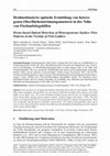 Research paper thumbnail of Drohnenbasierte optische Ermittlung von heterogenen Oberflächenströmungsmustern in der Nähe von Fischaufstiegshilfen / Drone-based Optical Detection of Heterogeneous Surface Flow Patterns in the Vicinity of Fish Ladders