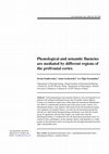 Research paper thumbnail of Phonological and semantic fluencies are mediated by different regions of the prefrontal cortex