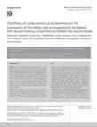 Research paper thumbnail of The Effects Of Lucilia Sericata Larval Secretions On The Expressions Of microRNAs That Are Suggested To Be Related With Wound Healing In Experimental Diabetic Rat Wound Model