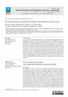 Research paper thumbnail of Doses and forms of Azospirillum brasilense inoculation on maize crop