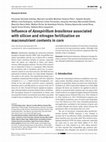 Research paper thumbnail of Influence of Azospirillum brasilense associated with silicon and nitrogen fertilization on macronutrient contents in corn