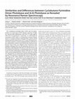 Research paper thumbnail of Similarities and Differences between Cyclobutane Pyrimidine Dimer Photolyase and (6-4) Photolyase as Revealed by Resonance Raman Spectroscopy