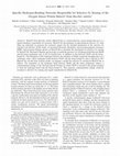 Research paper thumbnail of Specific Hydrogen-Bonding Networks Responsible for Selective O2 Sensing of the Oxygen Sensor Protein HemAT from Bacillus subtilis