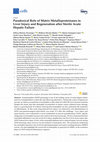 Research paper thumbnail of Paradoxical Role of Matrix Metalloproteinases in Liver Injury and Regeneration after Sterile Acute Hepatic Failure