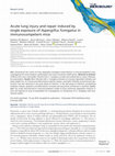 Research paper thumbnail of Acute lung injury and repair induced by single exposure of Aspergillus fumigatus in immunocompetent mice