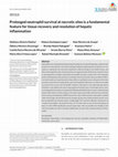 Research paper thumbnail of Prolonged neutrophil survival at necrotic sites is a fundamental feature for tissue recovery and resolution of hepatic inflammation