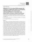 Research paper thumbnail of Mitigation of X-ray induced DNA damages and expression of DNA-repair genes by antioxidative Potentilla fulgens root extract and its ethyl-acetate fraction in mammalian cells