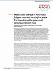 Research paper thumbnail of Methanolic extract of Potentilla fulgens root and its ethyl-acetate fraction delays the process of carcinogenesis in mice