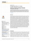 Research paper thumbnail of Energy expenditure in caving