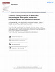 Research paper thumbnail of Lactarius Ectomycorrhizae on Abies alba: Morphological Description, Molecular Characterization, and Taxonomic Remarks