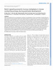 Research paper thumbnail of Notch signaling prevents mucous metaplasia in mouse conducting airways during postnatal development