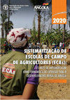 Research paper thumbnail of Sistematizacão de Escolas de Campo de Agricultores (ECAs): 15 anos de implementação como ferramenta de extensão rural de Angola