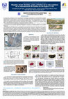 Research paper thumbnail of Magdala, Israel: Semillas, polen y fotolitos en la vida cotidiana de un asentamiento de Galilea de los siglos 1-2 EC.