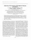 Research paper thumbnail of Initial stage of the adsorption of fluorofullerene molecules on Si surface