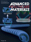 Research paper thumbnail of Helical Hydrogel Nanofibers: Microfluidic Fabrication of Biomimetic Helical Hydrogel Microfibers for Blood‐Vessel‐on‐a‐Chip Applications (Adv. Healthcare Mater. 13/2019)