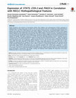 Research paper thumbnail of Expression of STAT5, COX-2 and PIAS3 in Correlation with NSCLC Histhopathological Features