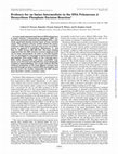 Research paper thumbnail of Evidence for an Imino Intermediate in the DNA Polymerase β Deoxyribose Phosphate Excision Reaction