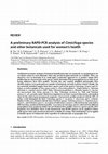 Research paper thumbnail of A preliminary RAPD-PCR analysis of Cimicifuga species and other botanicals used for women's health