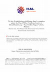 Research paper thumbnail of Un site d'exploitation néolithique dans le complexe minier du Pays d'Othe : fouille préventive à Mesnil-Saint-Loup - "Les Vieilles Vignes" (Aube, France)