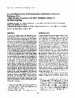 Research paper thumbnail of Potential Mechanisms of Photodynamic Inactivation of Virus by Methylene Blue I. RNA–Protein Crosslinks and Other Oxidative Lesions in Qβ Bacteriophage