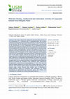 Research paper thumbnail of Molecular Docking, Antibacterial and Antioxidant Activities of Compounds Isolated from Ethiopian Plants