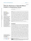 Research paper thumbnail of Molecular Mechanisms of Salmonella Effector Proteins: A Comprehensive Review