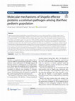 Research paper thumbnail of Molecular mechanisms of Shigella effector proteins: a common pathogen among diarrheic pediatric population