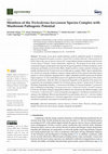 Research paper thumbnail of Members of the Trichoderma harzianum Species Complex with Mushroom Pathogenic Potential