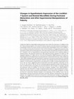 Research paper thumbnail of Changes in Hypothalamic Expression of the Lin28/let-7 System and Related MicroRNAs During Postnatal Maturation and After Experimental Manipulations of Puberty