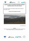 Research paper thumbnail of Synthesis centres on innovative wastewater treatment: feasibility studies in the Lower Danube