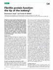 Research paper thumbnail of Fibrillin protein function: the tip of the iceberg?