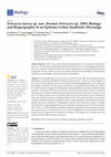 Research paper thumbnail of Trebouxia lynnae sp. nov. (Former Trebouxia sp. TR9): Biology and Biogeography of an Epitome Lichen Symbiotic Microalga