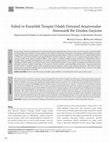 Research paper thumbnail of Kabul ve Kararlılık Terapisi Odaklı Deneysel Araştırmalar: Sistematik Bir Gözden Geçirme