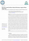 Research paper thumbnail of Bacterial Coated Fertilizer Induced Resistance Against Wheat Stripe Rust