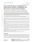 Research paper thumbnail of Antimicrobial Resistance of Staphylococci at Animal Human Interface in Smallholders and Dairy Farms in Central Oromia, Ethiopia