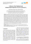 Research paper thumbnail of A Review of the Medicinal and Antimicrobial Properties of Carissa spinarum L