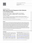 Research paper thumbnail of fMRI-based Neuronal Response to New Odorants in the Newborn Brain