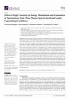 Research paper thumbnail of Effect of High Viscosity on Energy Metabolism and Kinematics of Spermatozoa from Three Mouse Species Incubated under Capacitating Conditions