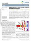 Research paper thumbnail of KOBRA: a fluctuating elastic rod model for slender biological macromolecules