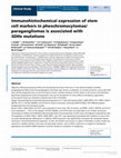 Research paper thumbnail of Immunohistochemical Expression of Stem Cell Markers in Pheochromocytoma/Paraganglioma is Associated with SDHx-mutations