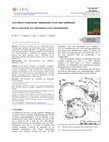 Research paper thumbnail of Arco Ibero-Armoricano: indentação versus auto-subducção