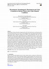 Research paper thumbnail of Physiological, Morphological, Phenological and Yield Evaluation of Durum Wheat Lines Under Rainfed Conditions