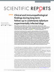 Research paper thumbnail of Clinical and immunopathological findings during long term follow-up in Leishmania infantum experimentally infected dogs