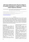 Research paper thumbnail of Alterazione dell'espressione dei geni orologio in Drosophila melanogaster aseguito di un intenso campo magnetico impulsato