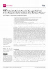 Research paper thumbnail of PHB Produced by Bacteria Present in the Argan Field Soil: A New Perspective for the Synthesis of the Bio-Based Polymer