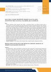 Research paper thumbnail of SELÇUKLU YILDIZ MOTİFİNİN MERSİN OLGUNLAŞMA ENSTİTÜSÜ'NDE SANATSAL TASARIMLARA YANSIMASI