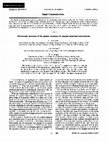 Research paper thumbnail of Microscopic structure of the plasma resonance in charged potassium microclusters