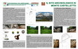 Research paper thumbnail of IL SITO ARCHEOLOGICO DI MONTE CASTELLETTO