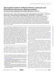 Research paper thumbnail of Glycosylation Pattern of Mature Dimeric Leukocyte and Recombinant Monomeric Myeloperoxidase